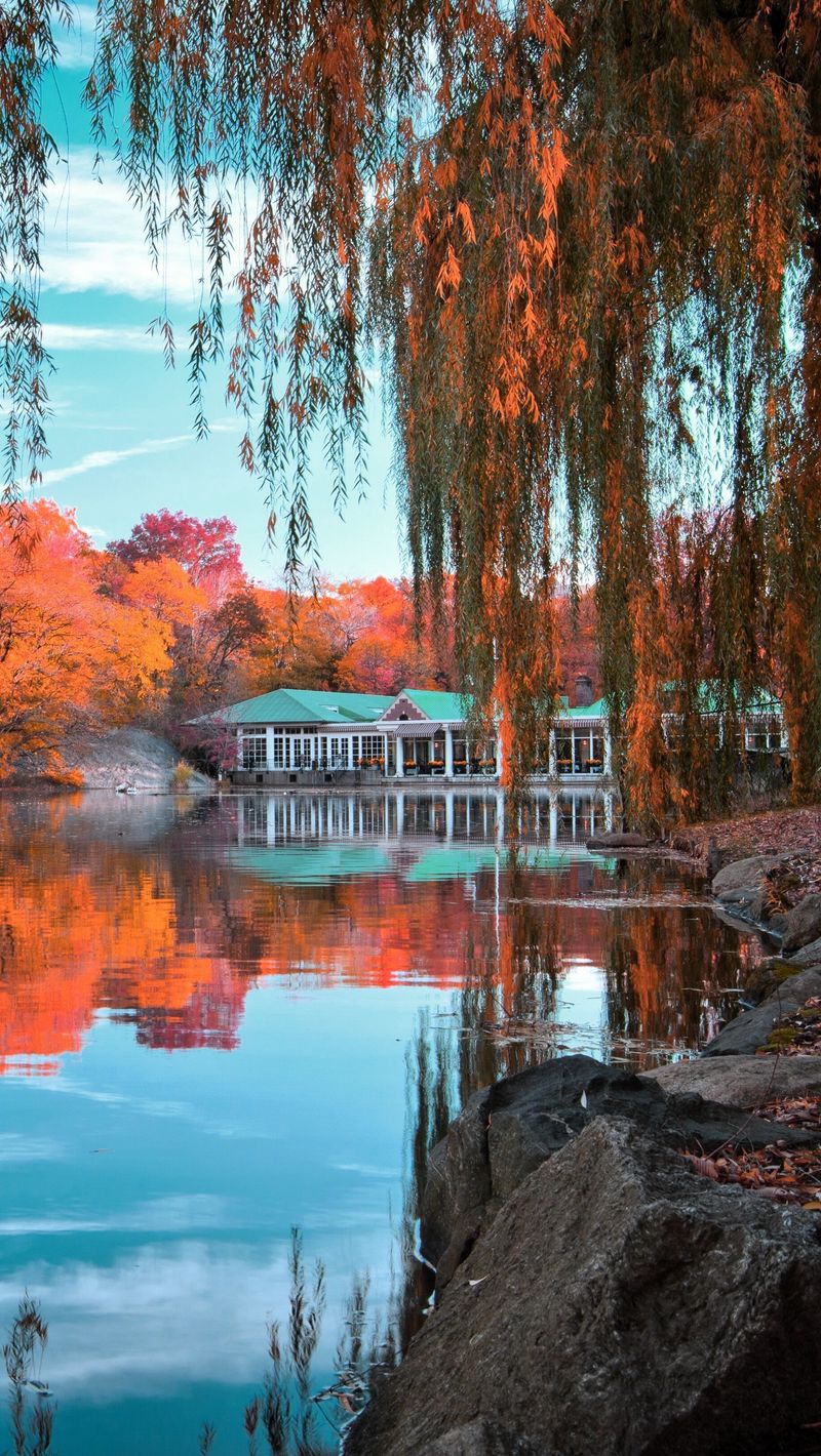 Download Wallpaper 800x1420 Central Park, New York, Autumn, Beautiful Landscape Iphone Se 5s 5c 5 For Parallax HD Background