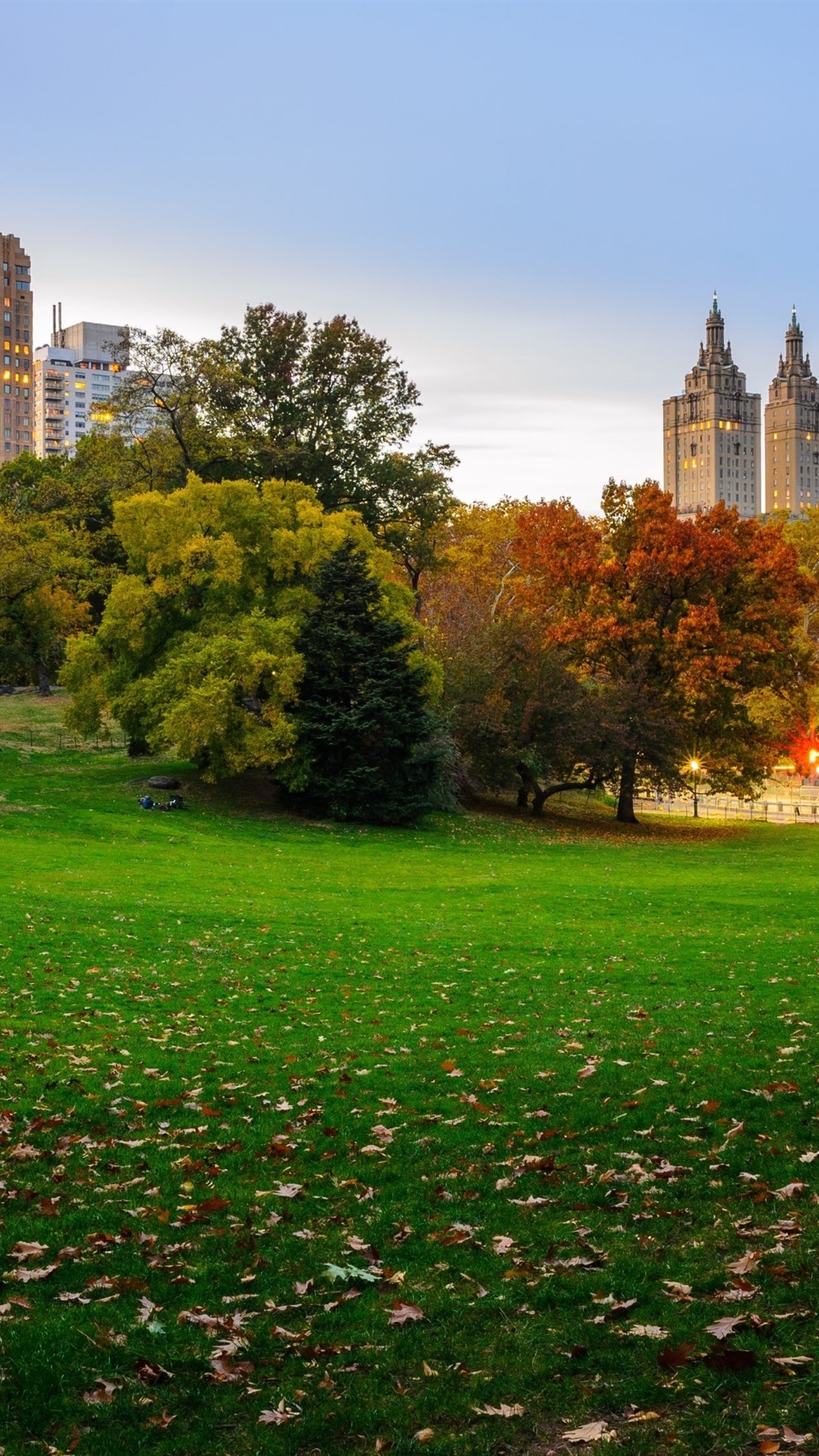 USA, New York, Central Park, Skyscrapers, Lawn, Trees, Autumn 1080x1920 IPhone 8 7 6 6S Plus Wallpaper, Background, Picture, Image