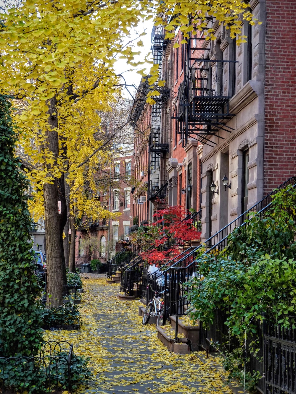 New York Autumn Picture. Download Free Image