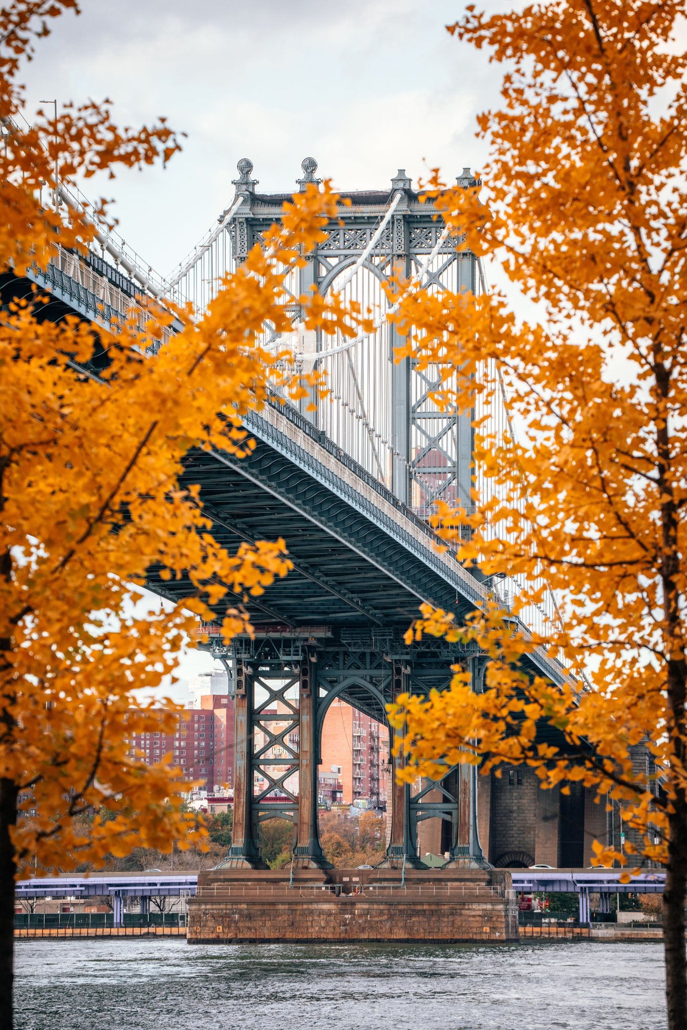 I LOVE NEW YORK Week 3 of the Fall Foliage Report! Check out our interactive map to see color changes near you and across the state with colorful fall