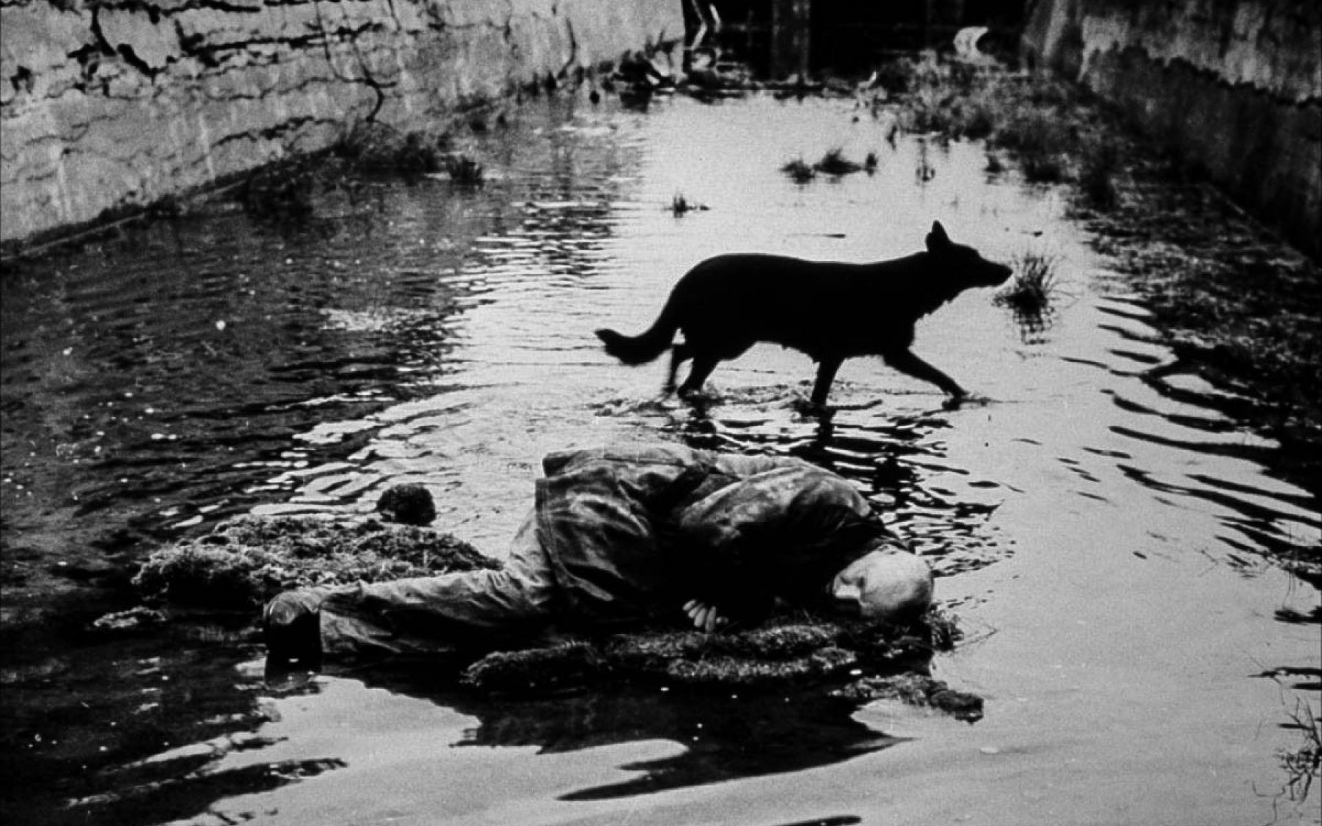 Tarkovsky Wallpaper