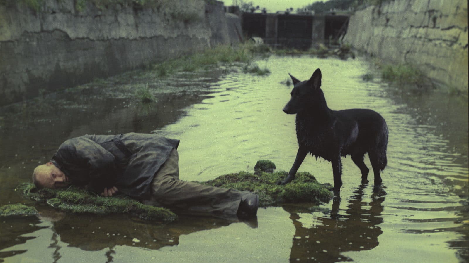 The Mind of a Master: Learning To Plan Through Tarkovsky's Shot Lists