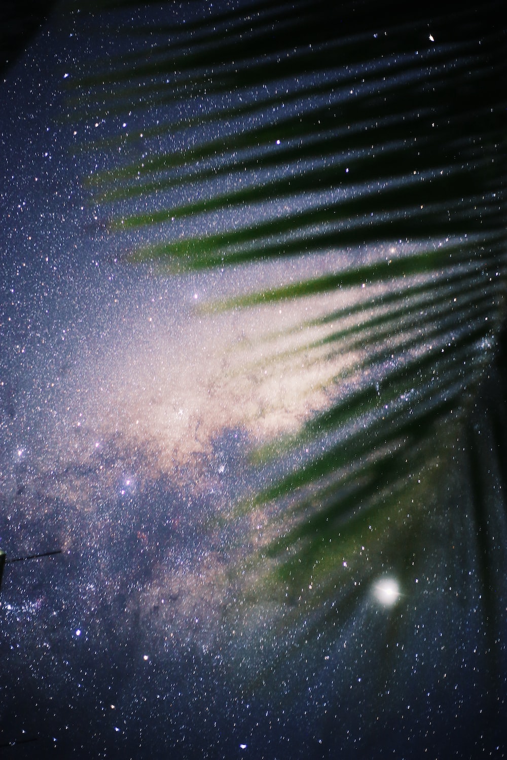 Dynamic Wallpaper: Free HD Download [HQ]