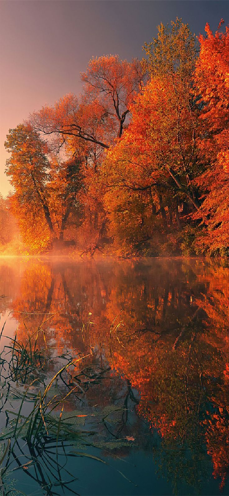 Autumn Trees iPhone Lake Wallpapers - Wallpaper Cave