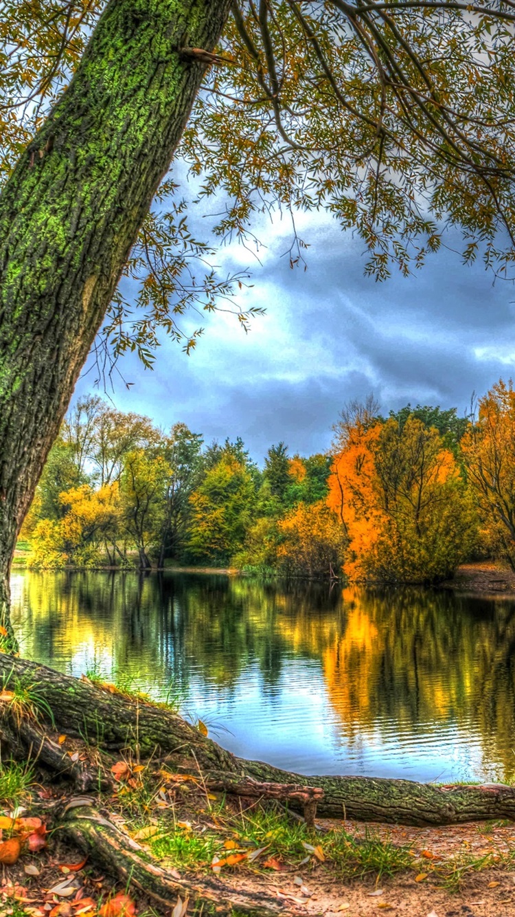 Autumn Trees iPhone Lake Wallpapers - Wallpaper Cave