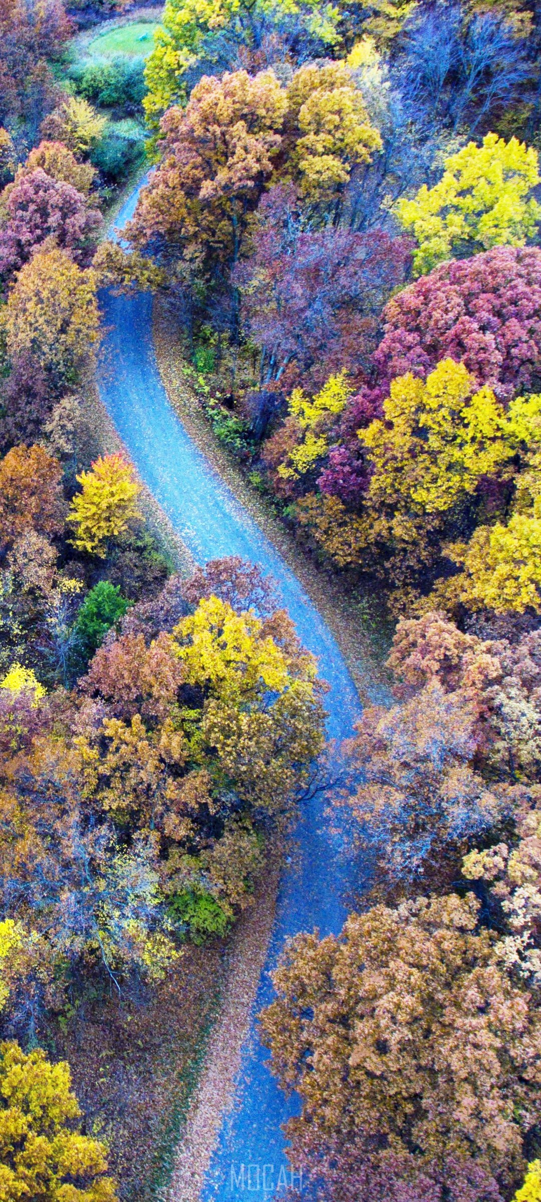 road, trees, photography, hd, 4k, autumn Gallery HD Wallpaper