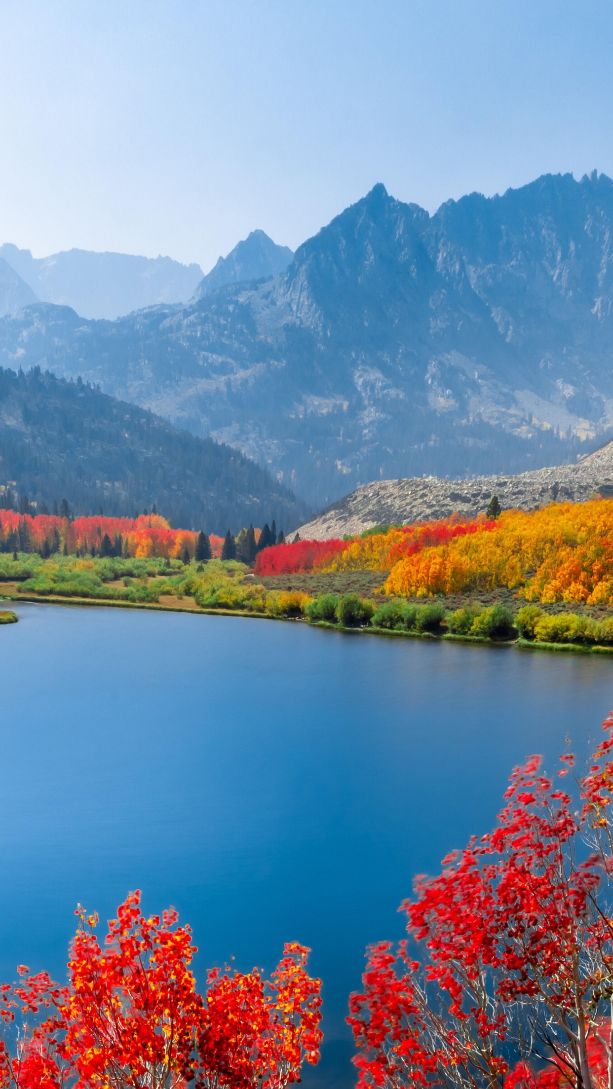 Autumn trees Wallpaper 4K, Lake, Mountain range, Daytime