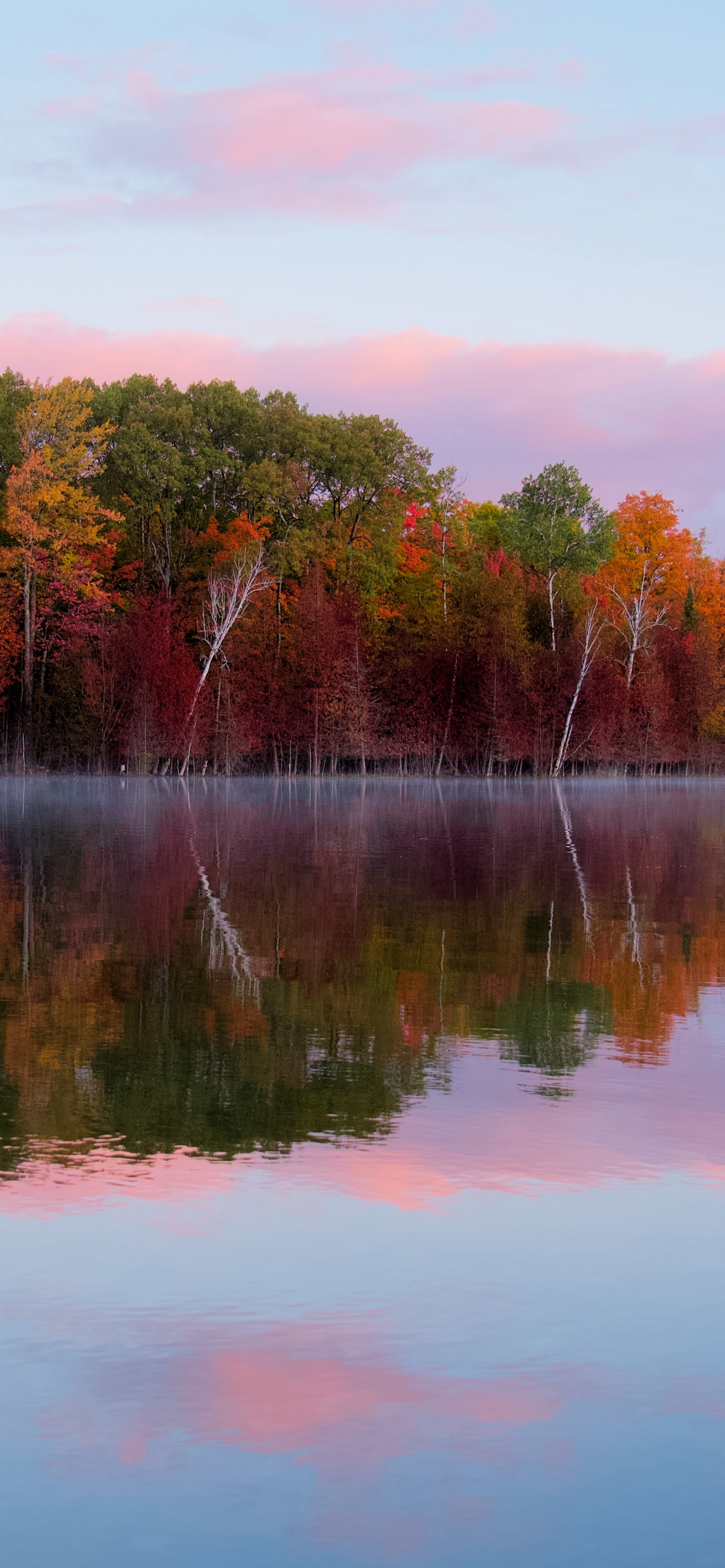 Autumn trees Wallpaper 4K, Forest, Body of Water, Reflection, Lake, Nature