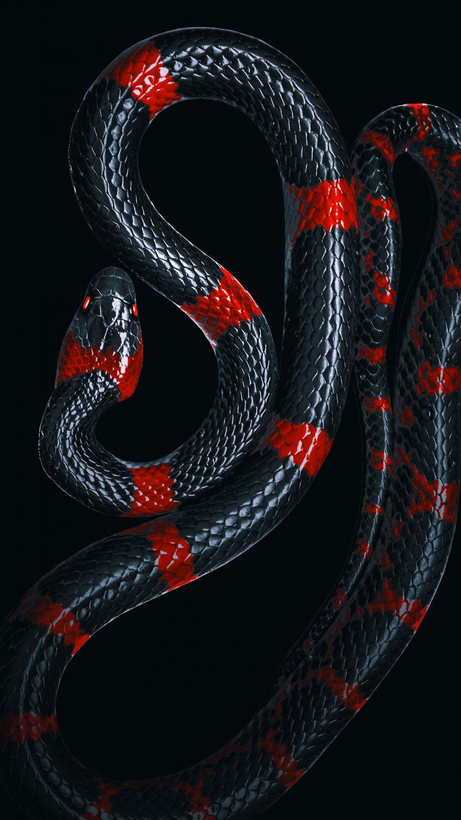 Black Snake IPhone Wallpaper Wallpaper, iPhone Wallpaper