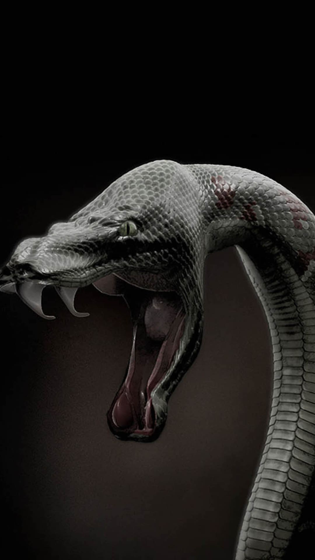 Snake Wallpaper Best Quality Snake Background (HD, 4k)