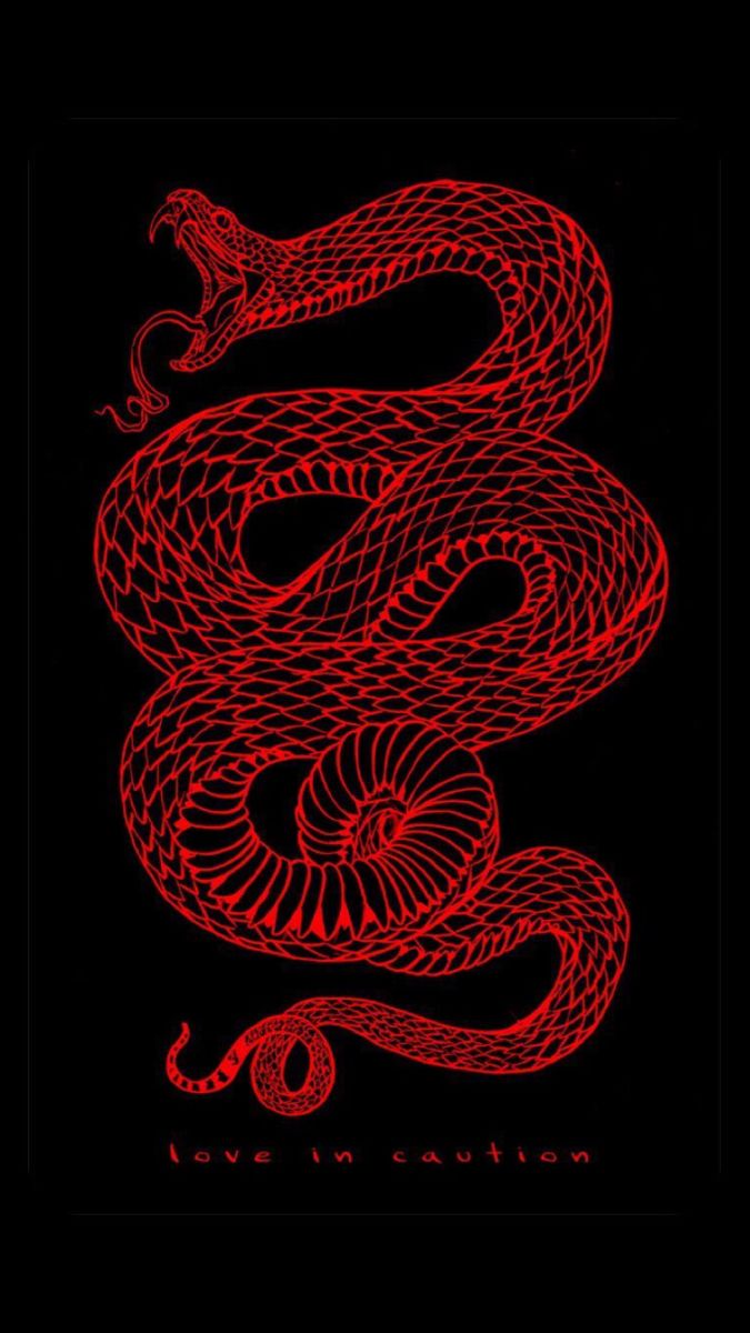 Wallpaper Red & Black • Snake