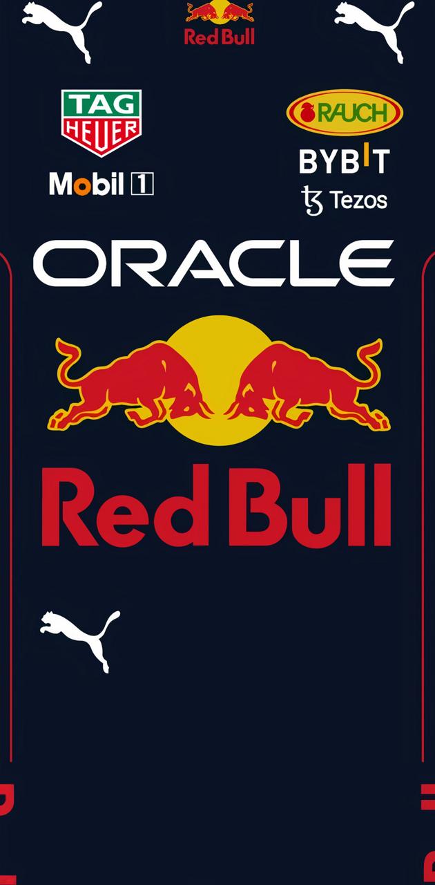 Max Verstappen 2022 wallpaper