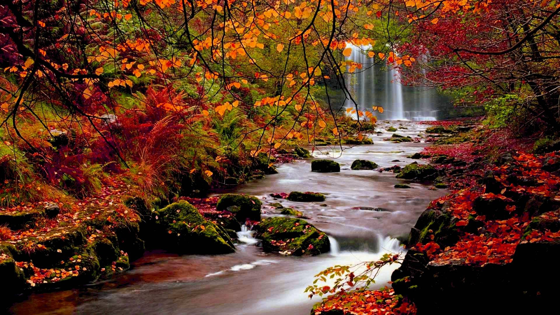 Download Autumn Landscape With Colorful Maple Trees And Waterfalls Wallpaper