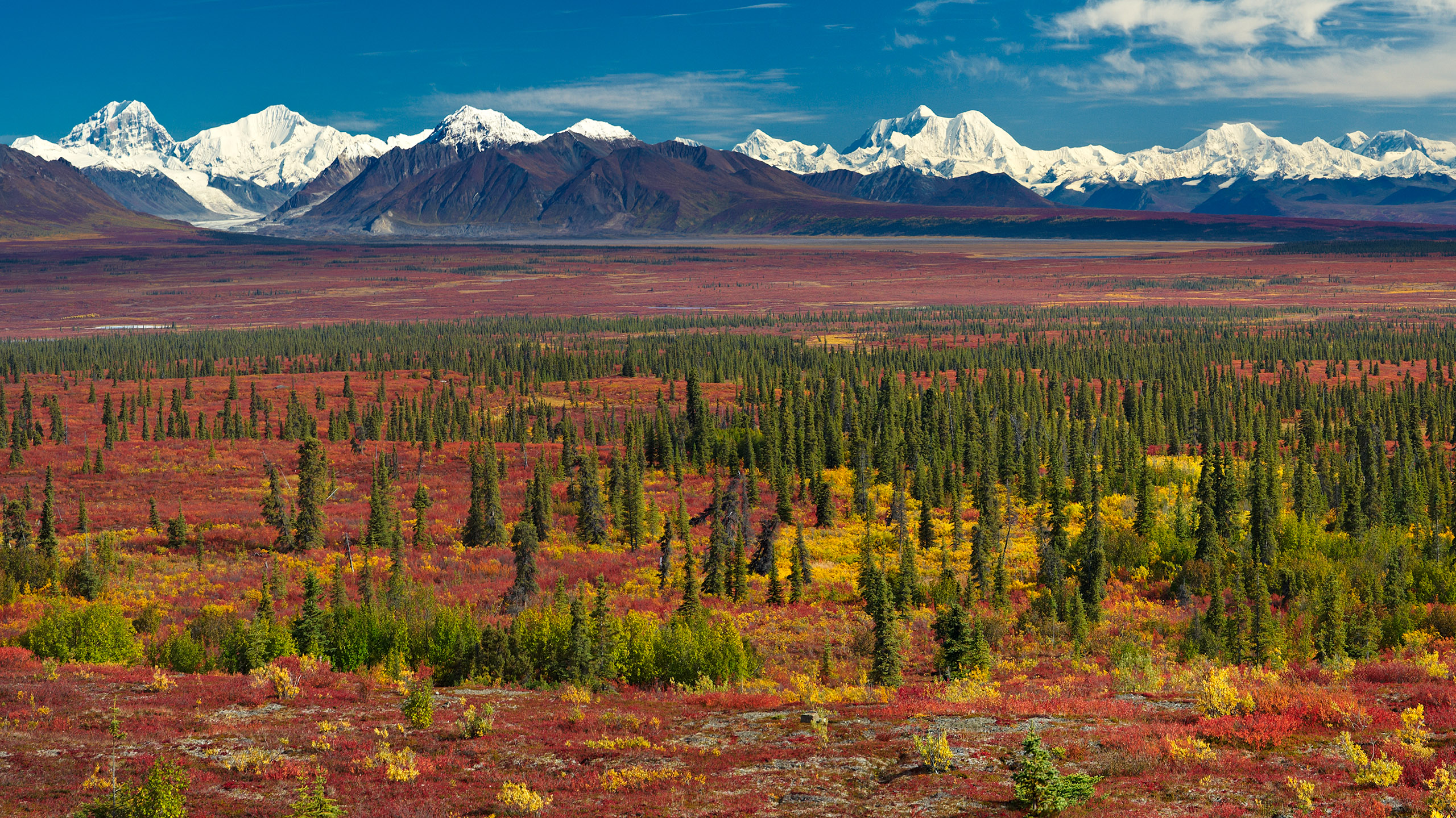 Alaska Background HD