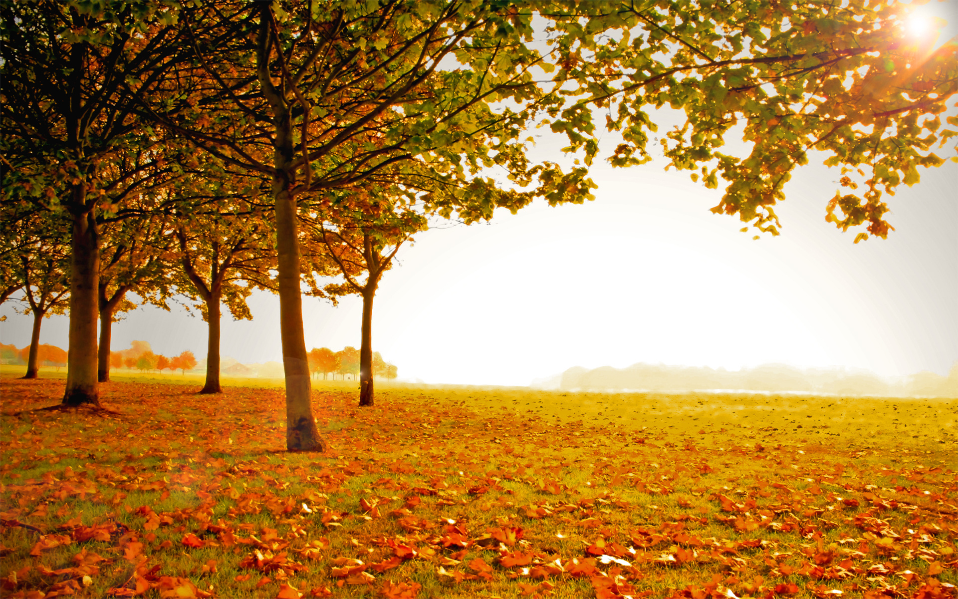 Landscape Autumn wallpaper. Landscape Autumn