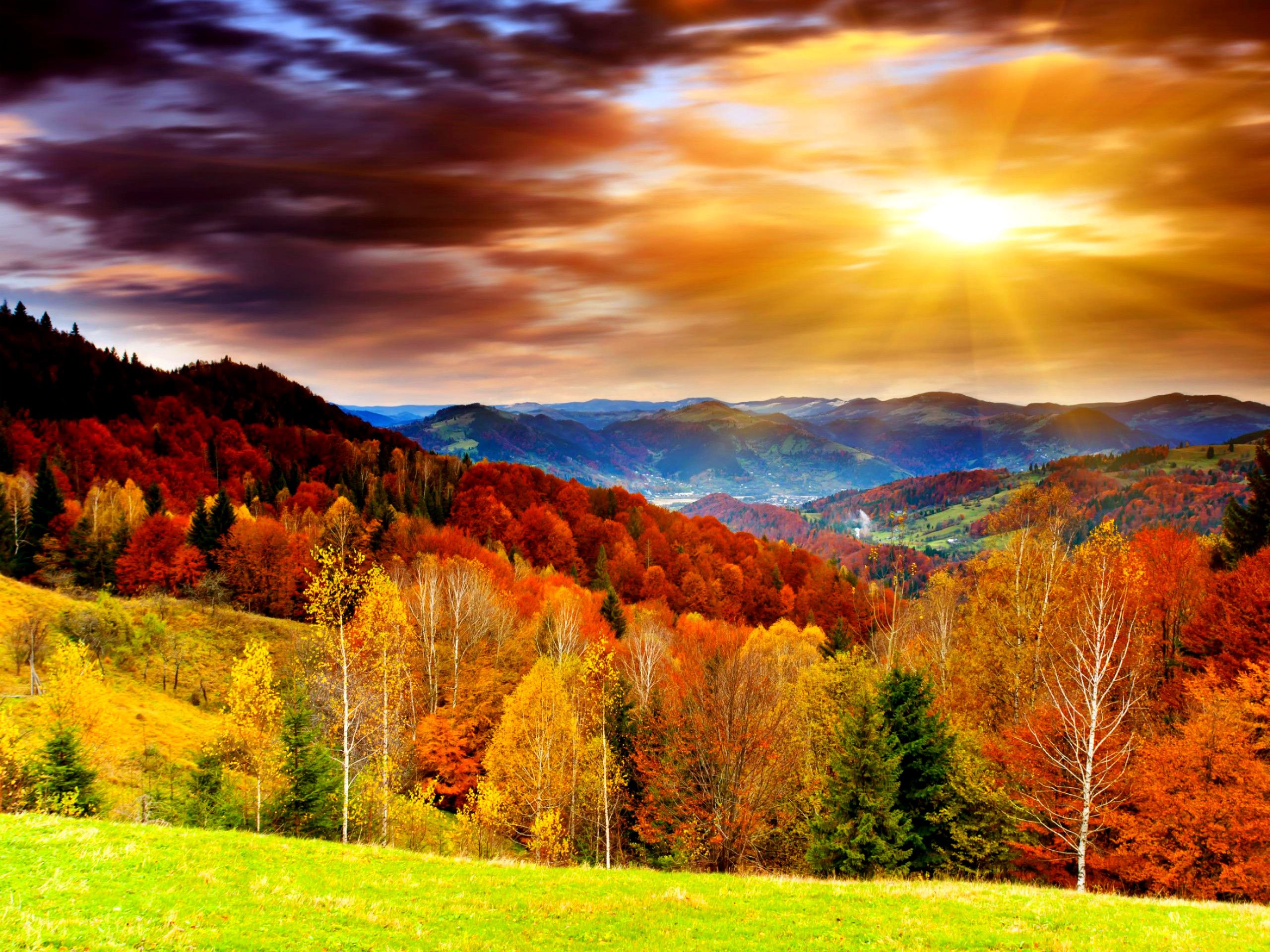 Colorful Fall Wallpaper