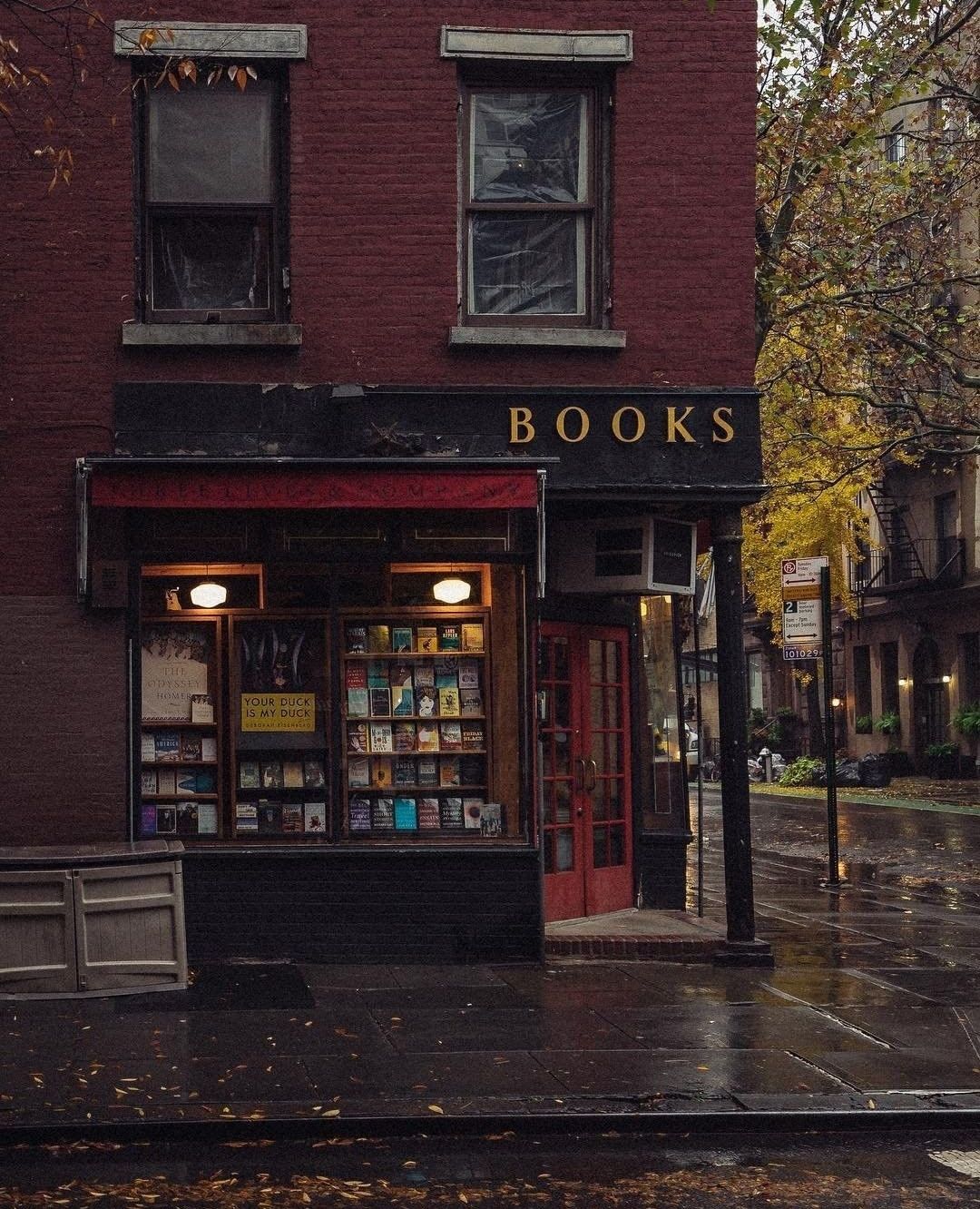 Cozy book store in the rain. Cozy rainy day, Autumn aesthetic, Autumn cozy
