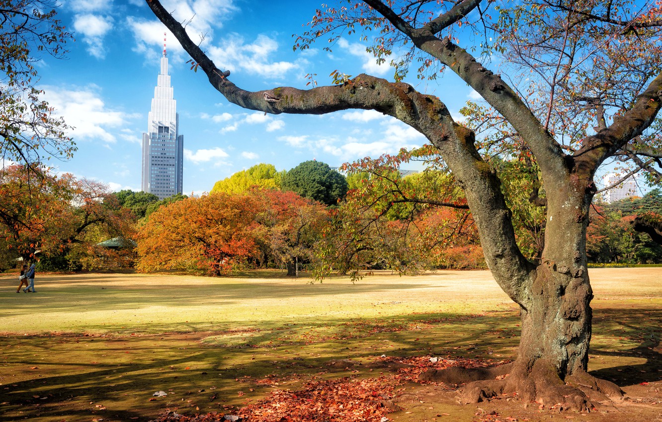 Wallpaper autumn, trees, landscape, the city, Park, tower, Japan, Tokyo image for desktop, section пейзажи