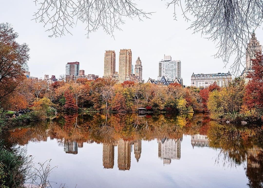 The Perfect Fall Day in New York for Families