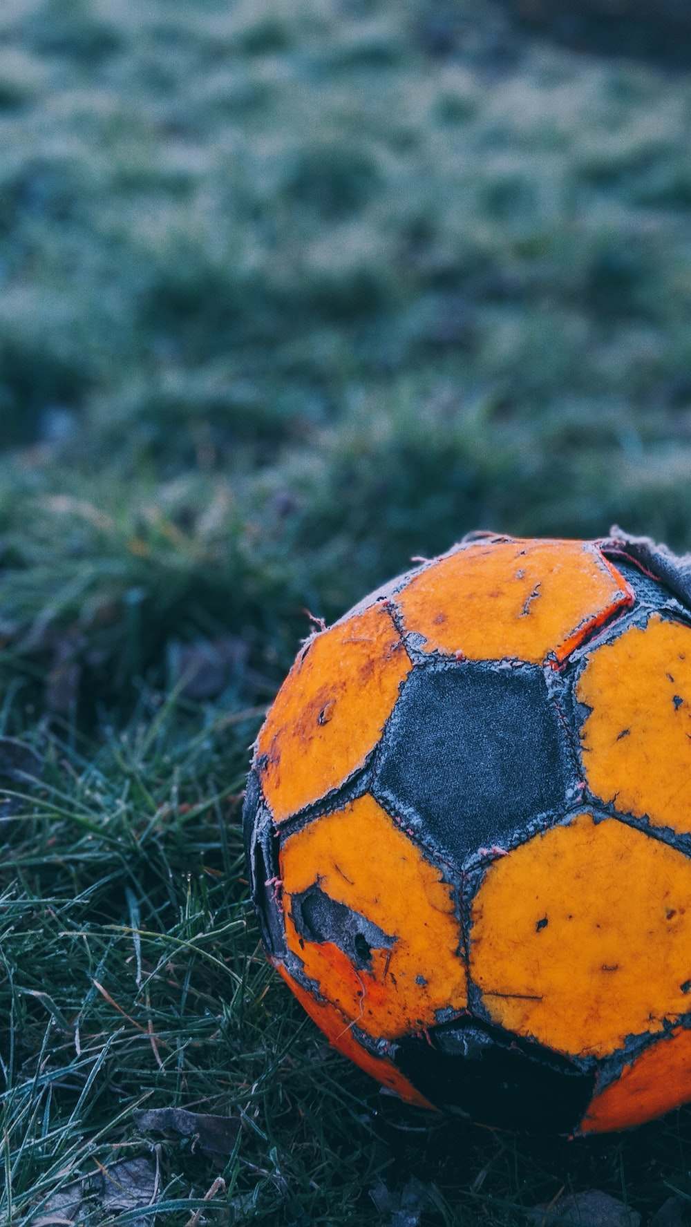 orange and black soccer ball on the field photo