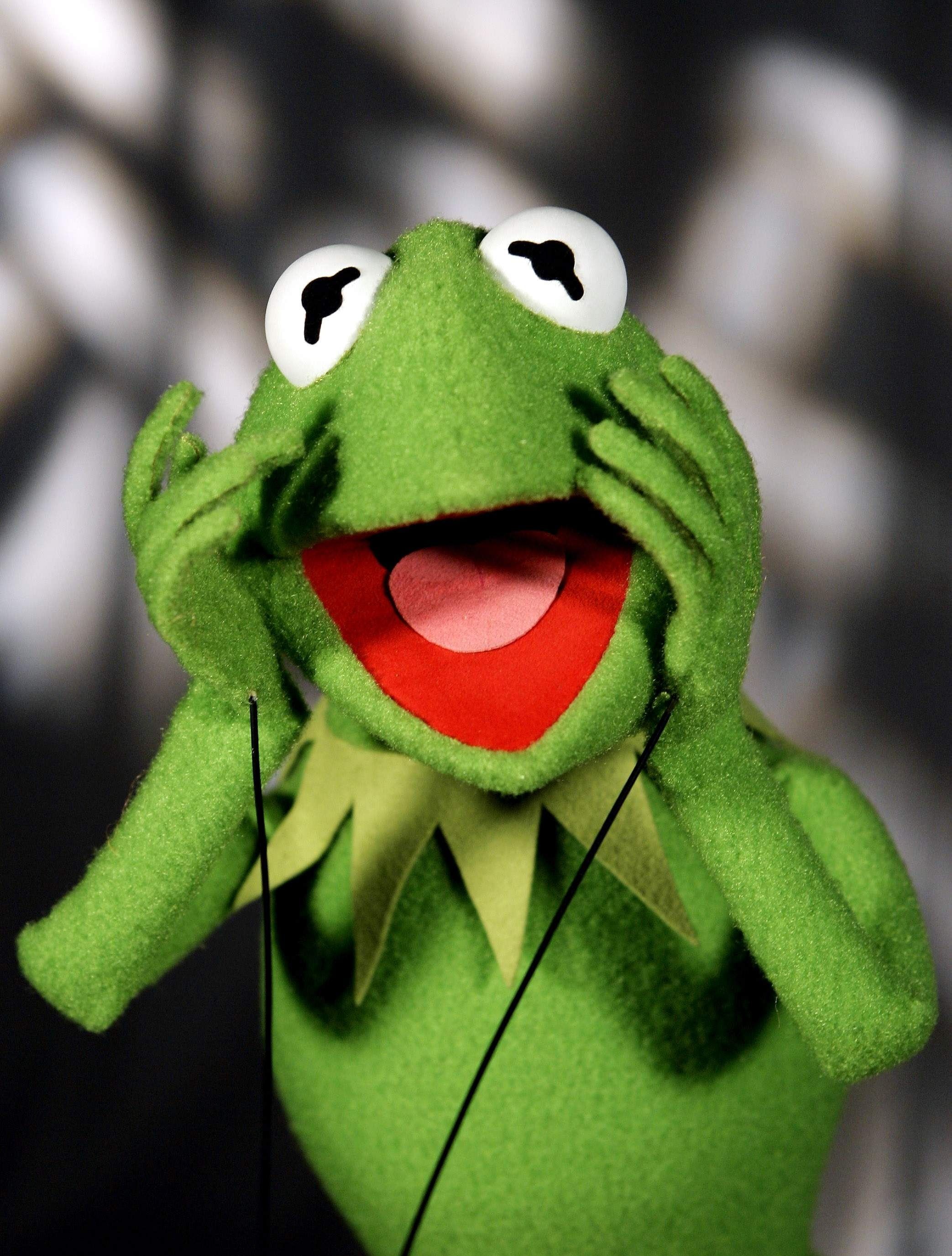 Kermit the Frog HD Wallpaper