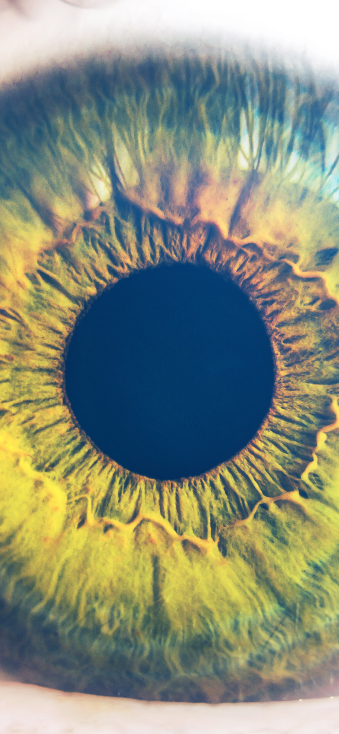 iPhone X wallpaper. eye human nature pupil body science flare blue