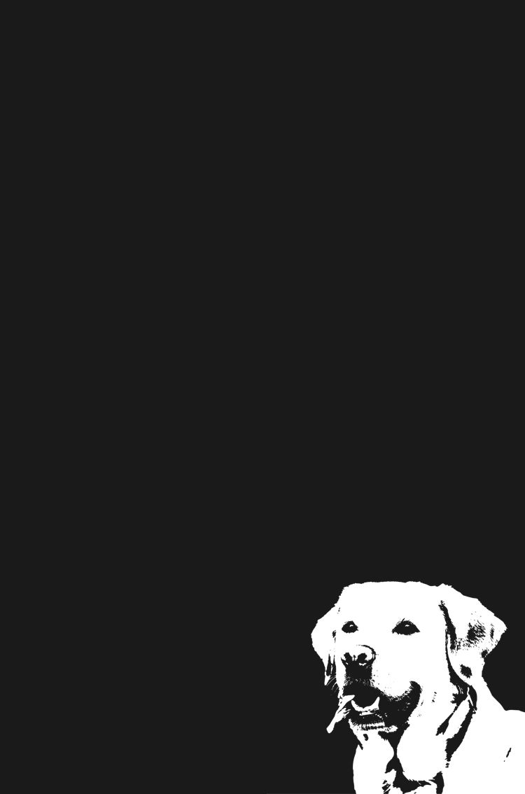 Wallpaper Dog. Dog Wallpaper, Cute Background, Minimalist Wallpaper