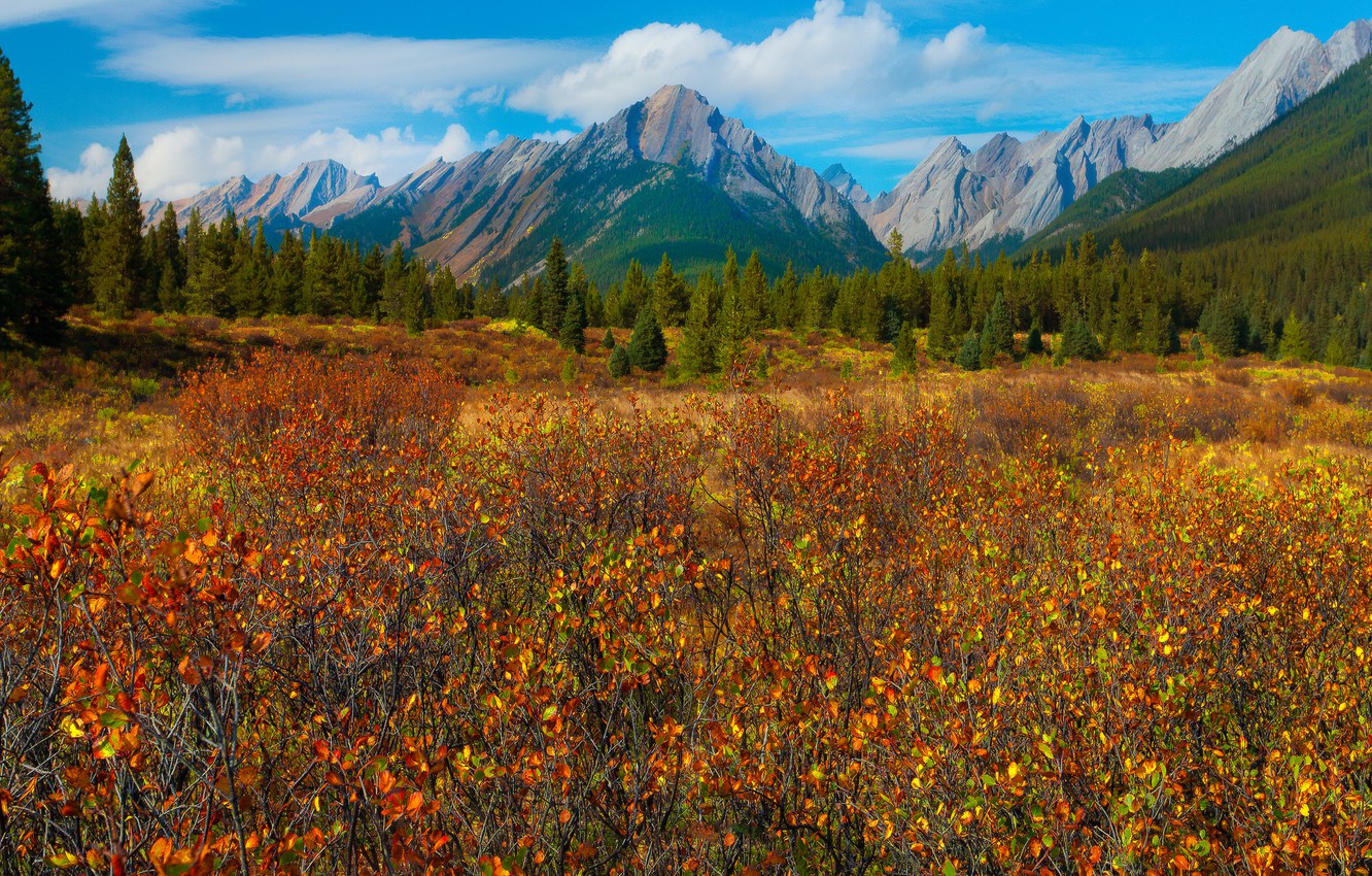 Meadow Autumn Wallpapers - Wallpaper Cave