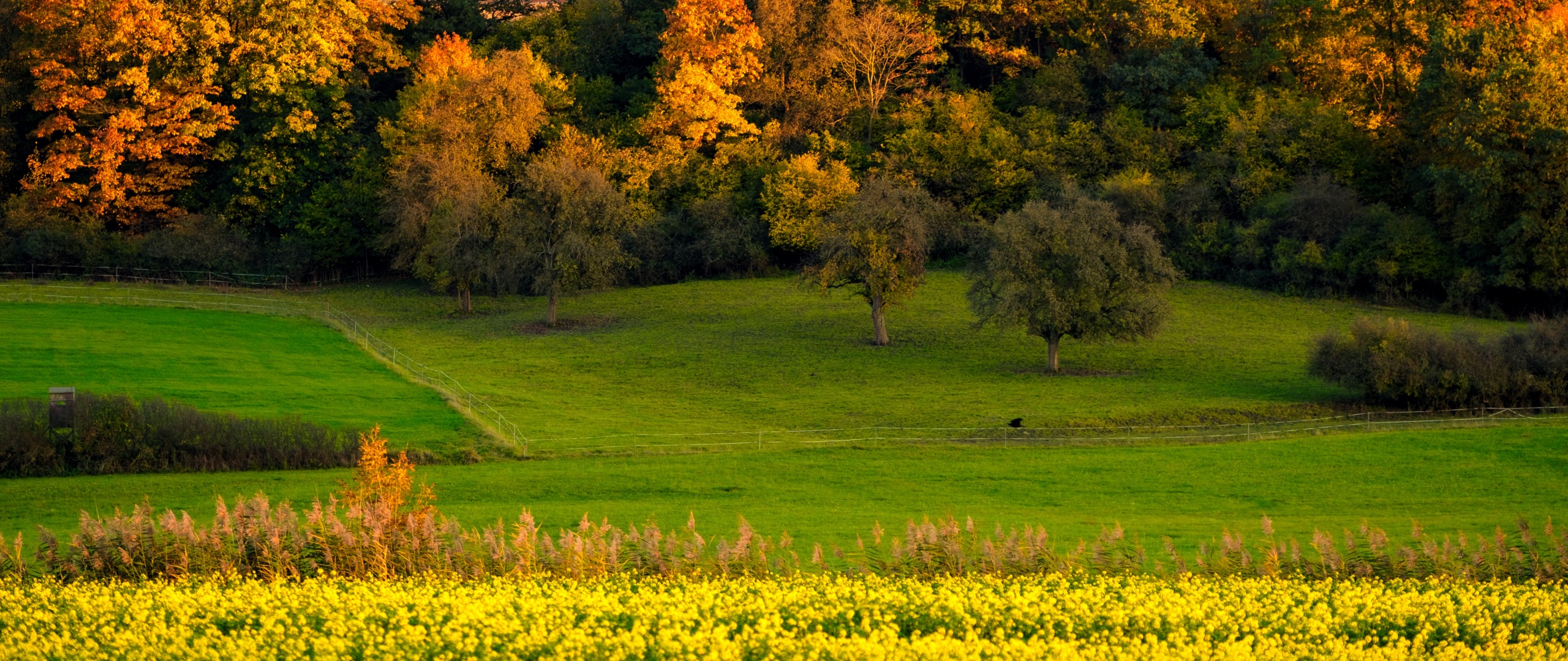 Meadow Autumn Wallpapers - Wallpaper Cave