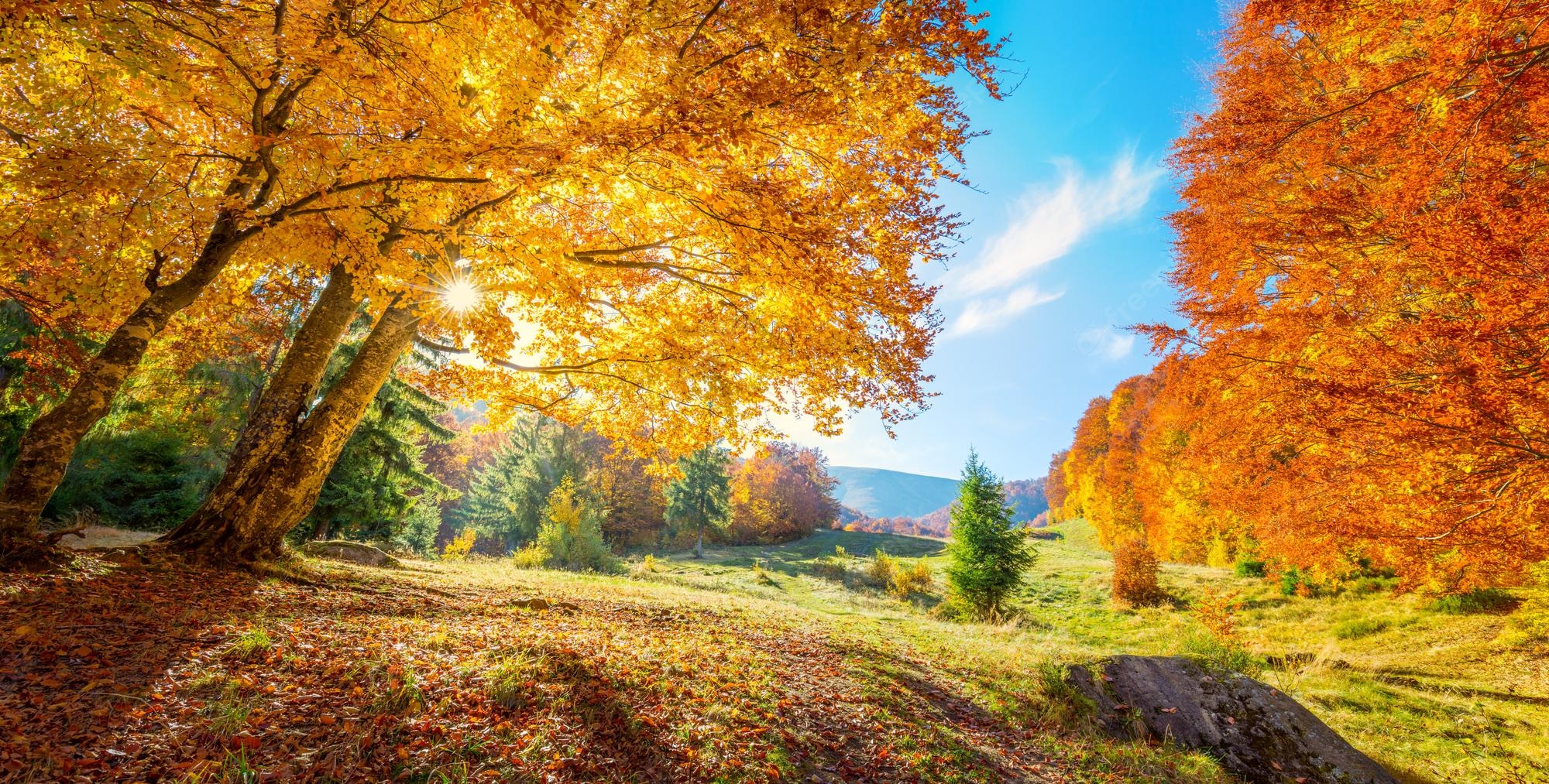 Meadow Autumn Wallpapers - Wallpaper Cave