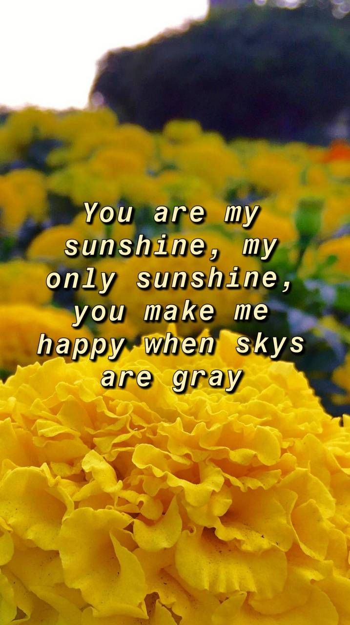 You are my sunshine wallpaper by Soulfirebird. de9b. Sunshine wallpaper, You are my sunshine, You make me happy