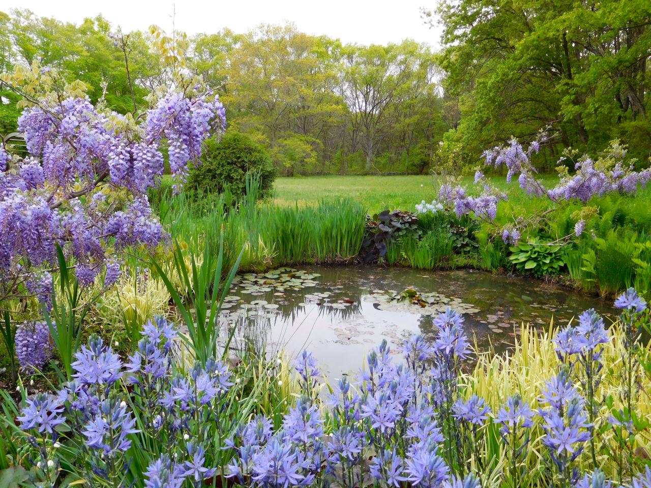 Dreamy Cottage Gardens. HGTV's Decorating & Design Blog