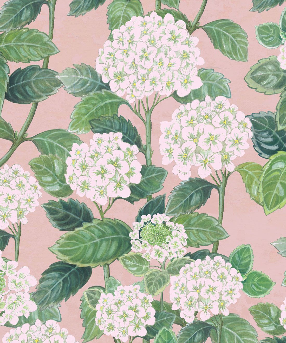 Hydrangea Garden Wallpaper • Gorgeous Florals