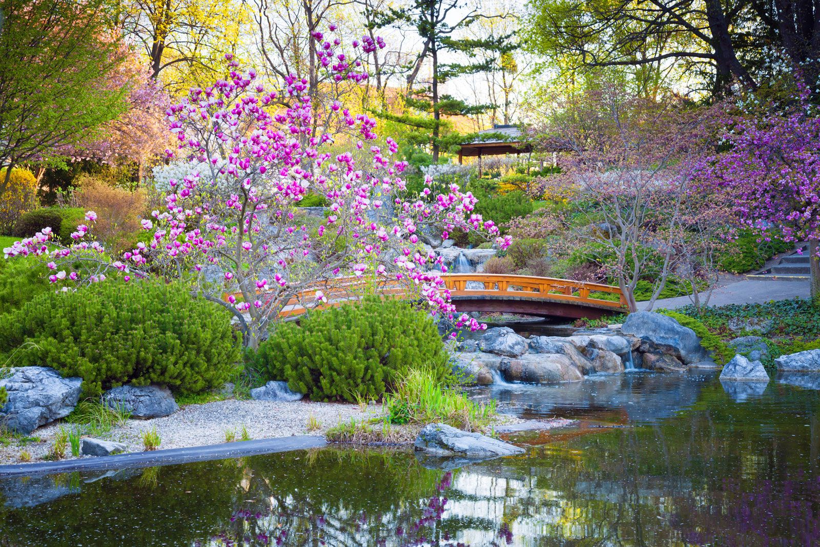 Japanese garden. Elements, Types, Examples, & Picture