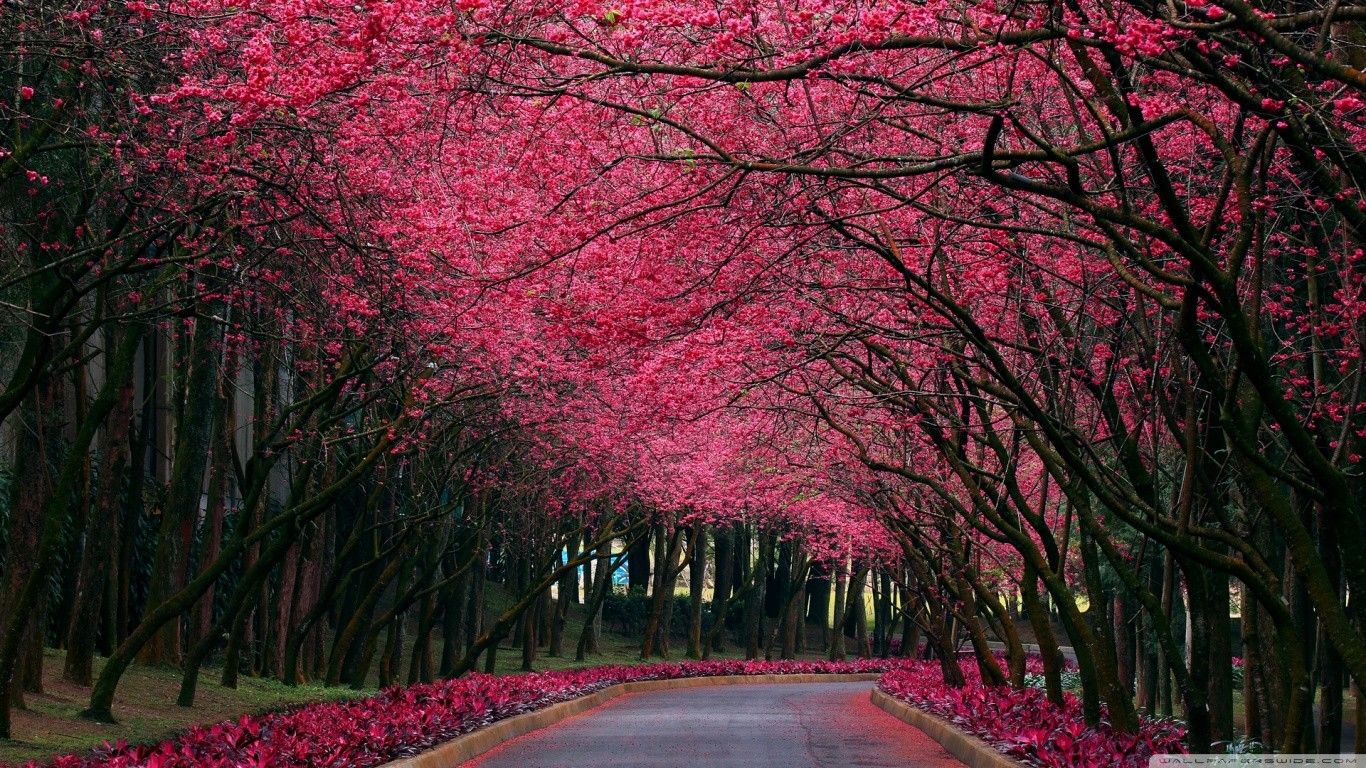 Belgian Landscape Wallpaper
