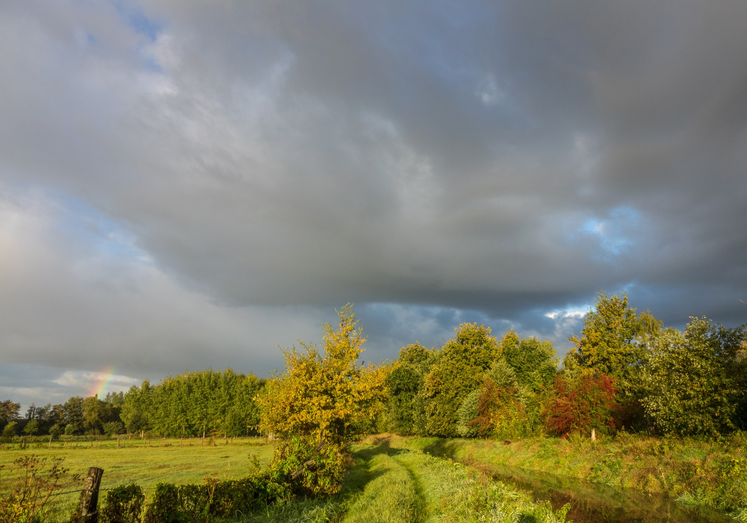 Houwaart Vlaams Brabant, Belgium, Autumn, Trees, Grass Gallery HD Wallpaper