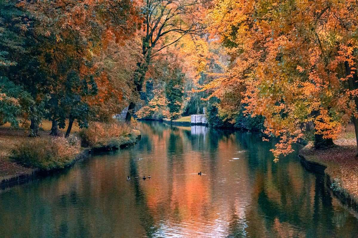 Autumn in Bruges, Belgium