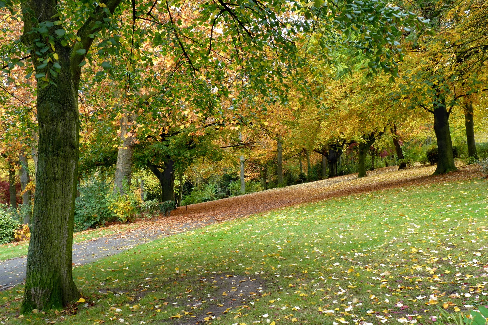 Autumn Belgium Wallpapers - Wallpaper Cave