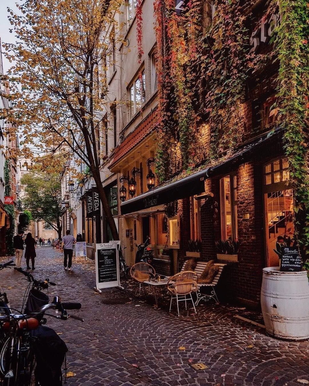 Brussels City in Autumn (47 photo) photo taken by people from all over the world