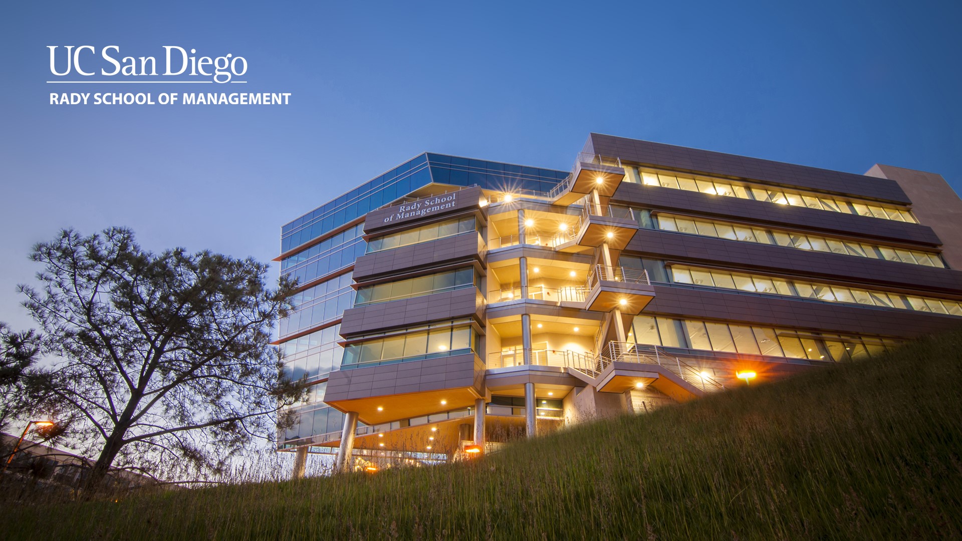 Rady School of Management Background for Video Conferencing