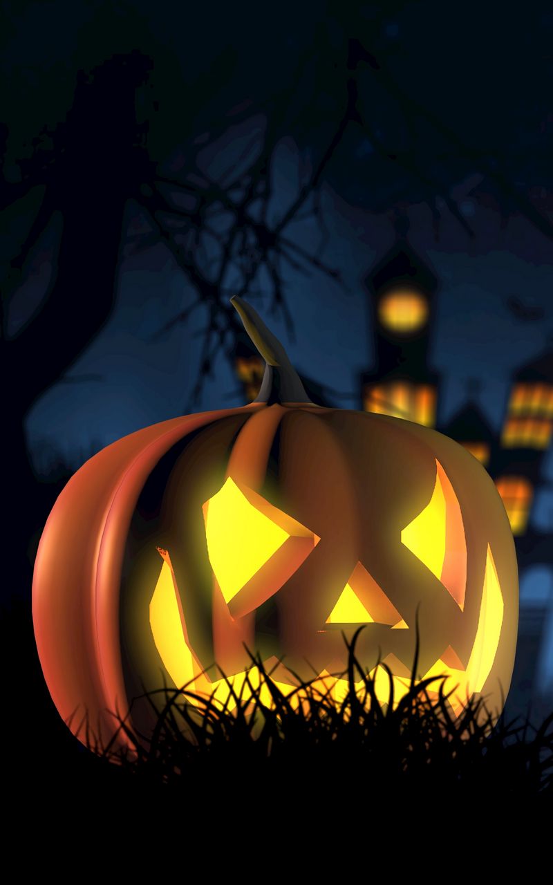 Download Wallpaper 800x1280 Halloween, Pumpkin, Spooky, Face, Autumn Samsung Galaxy Note Gt N Meizu Mx2 HD Background