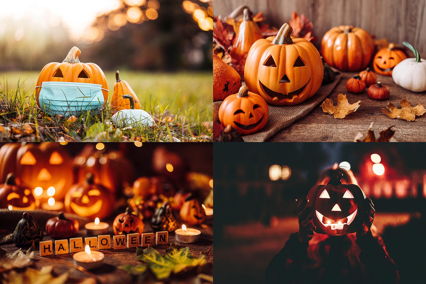 Autumn Fall Pumpkins Decorative Background Free