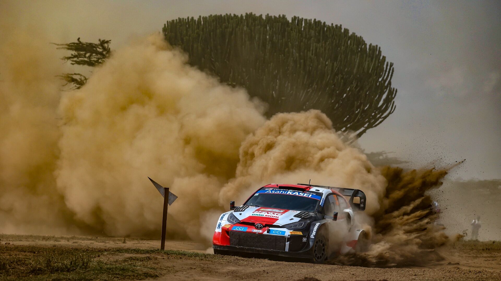 Upbeat Evans boosted