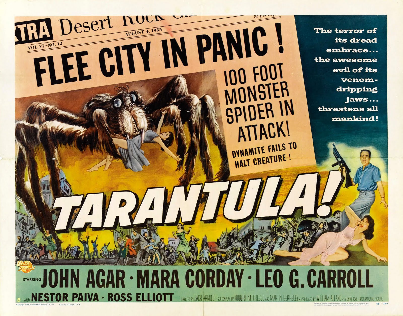 Tarantula HD Wallpaper and Background