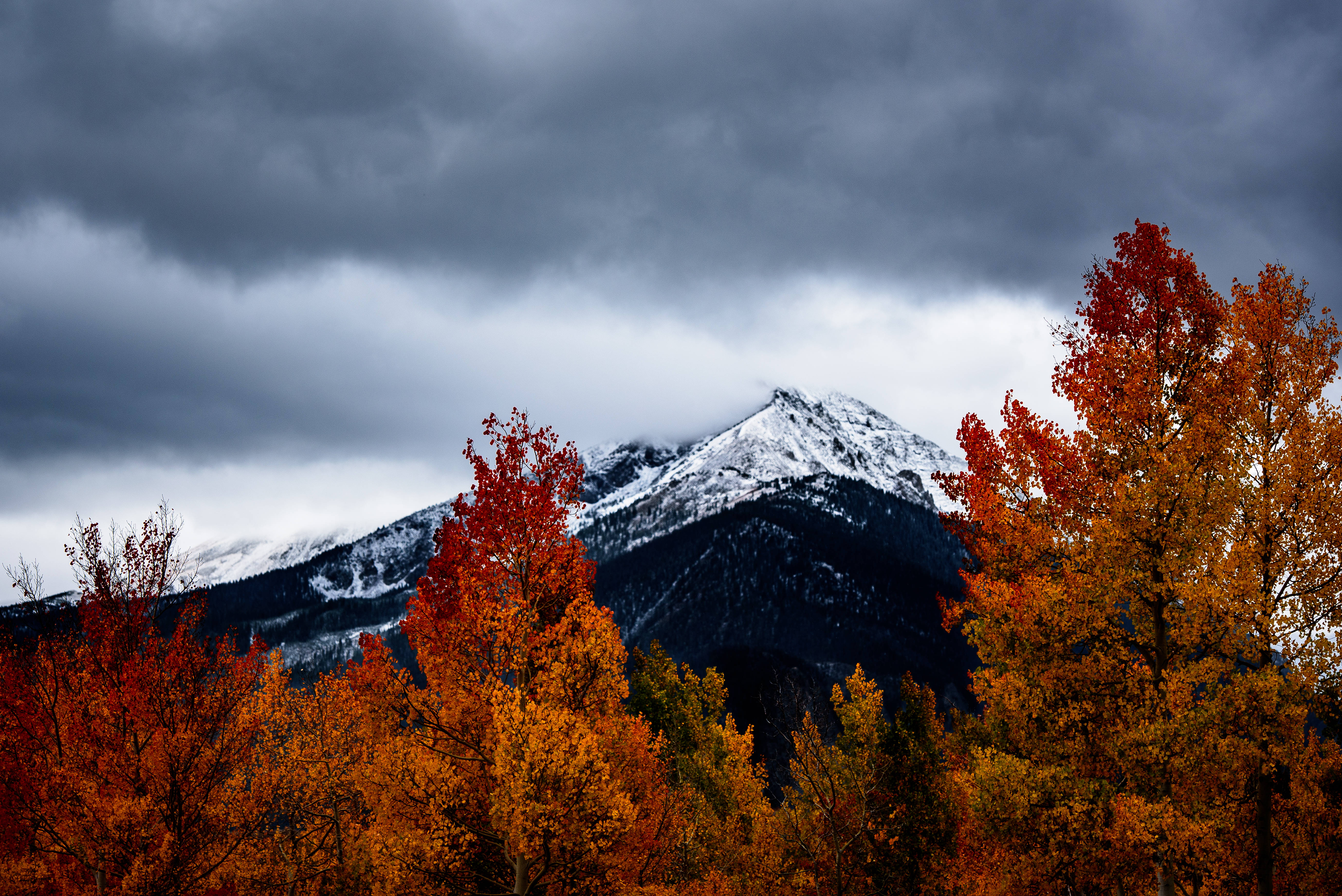 Download Mountains And Trees Fall Wallpaper