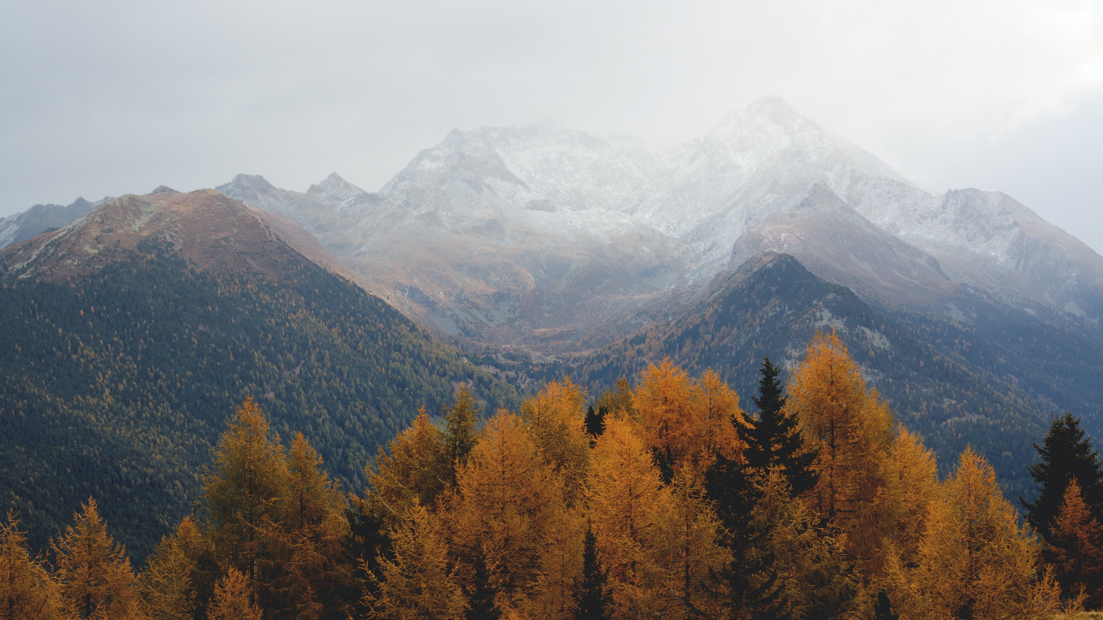 Fall, Fog, Forest, Mountain 4k Gallery HD Wallpaper