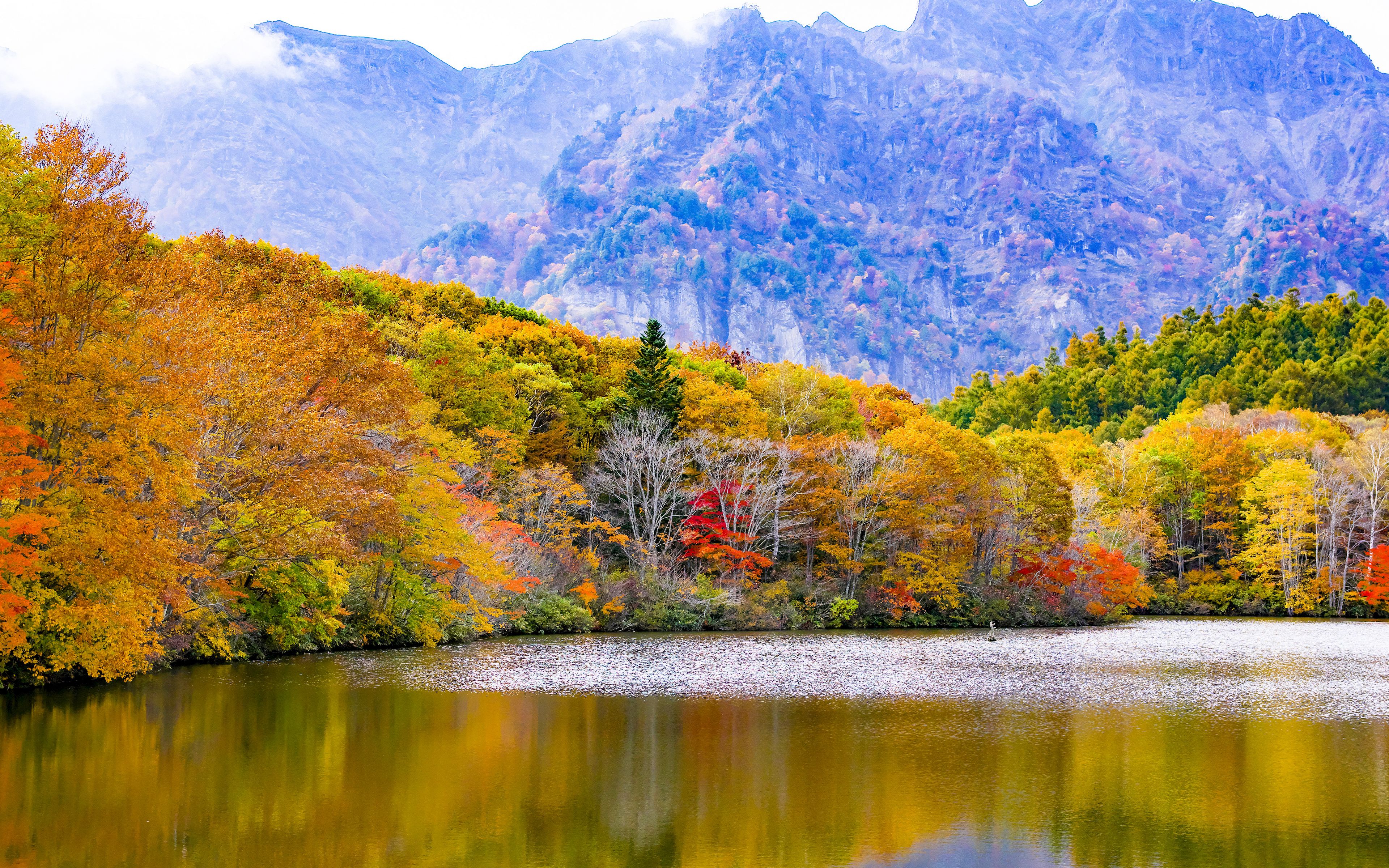 Download wallpaper 3840x2400 japan, togakushi, lake, mountains, trees, autumn 4k ultra HD 16:10 HD background