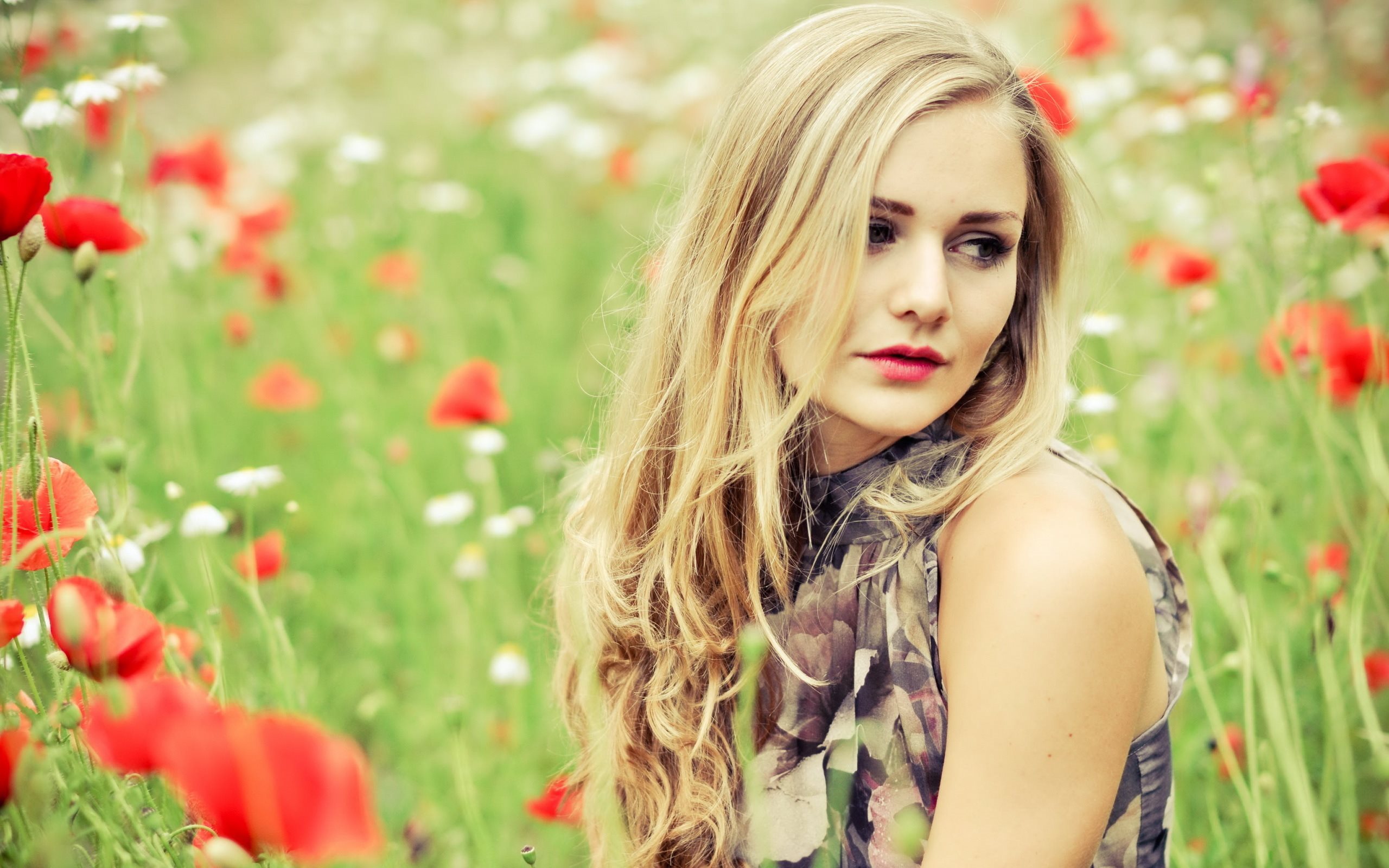 beautiful girl HD wallpaper, people in nature, meadow, beauty, flower, poppy