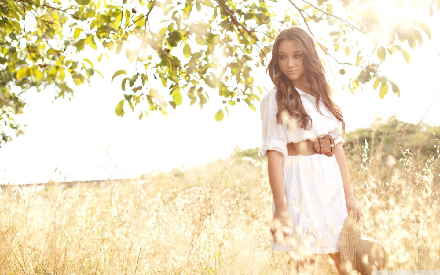 Woman In A Field Ultra HD Desktop Background Wallpaper for 4K UHD TV, Multi Display, Dual Monitor, Tablet