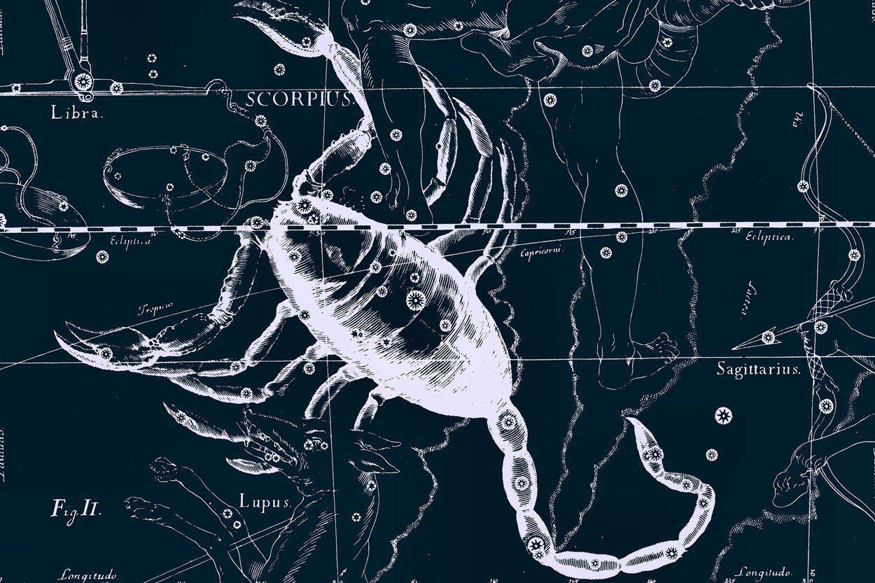Scorpio Constellation Map in Navy Wall Mural